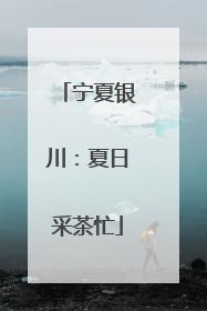 宁夏银川：夏日采茶忙