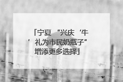 宁夏 “兴庆‘牛’礼为市民奶瓶子”增添更多选择