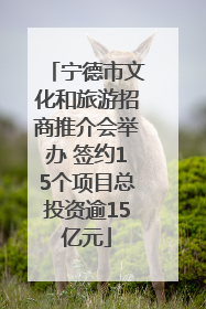 宁德市文化和旅游招商推介会举办 签约15个项目总投资逾15亿元