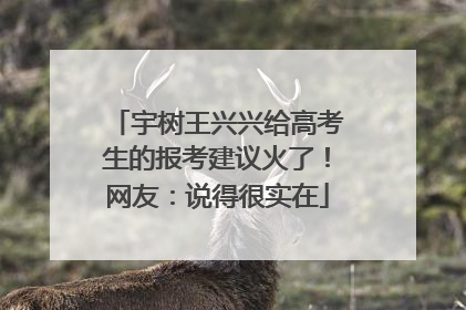 宇树王兴兴给高考生的报考建议火了！网友：说得很实在