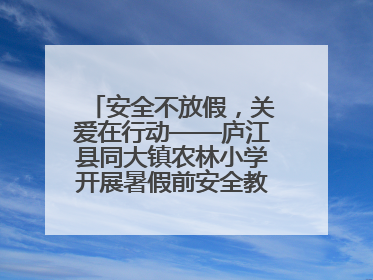 安全不放假，关爱在行动——庐江县同大镇农林小学开展暑假前安全教育大家访