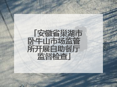 安徽省巢湖市卧牛山市场监管所开展自助餐厅监督检查