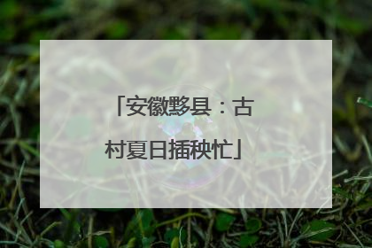 安徽黟县：古村夏日插秧忙