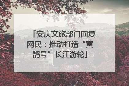 安庆文旅部门回复网民：推动打造“黄鹄号”长江游轮