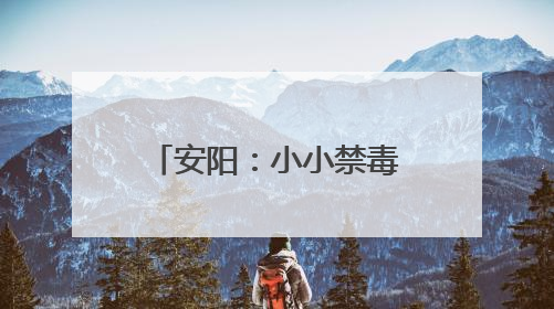 安阳：小小禁毒训练营护航青少年远离药物滥用