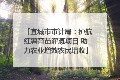 宜城市审计局：护航红薯育苗灌溉项目 助力农业增效农民增收