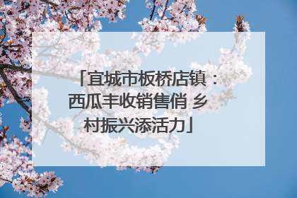 宜城市板桥店镇：西瓜丰收销售俏 乡村振兴添活力