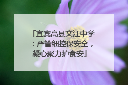 宜宾高县文江中学：严管细控保安全，凝心聚力护食安