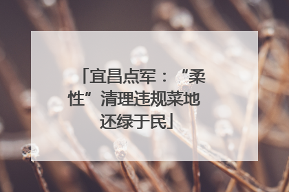 宜昌点军：“柔性”清理违规菜地 还绿于民