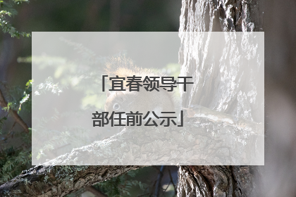 宜春领导干部任前公示