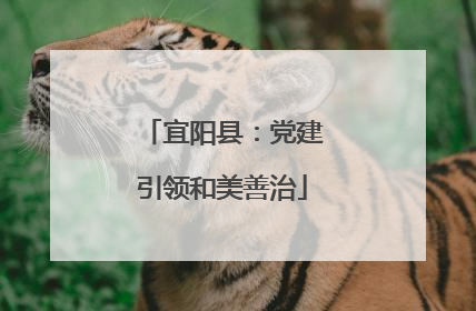 宜阳县：党建引领和美善治