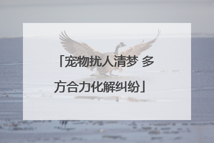 宠物扰人清梦 多方合力化解纠纷