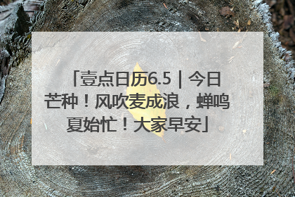 壹点日历6.5｜今日芒种！风吹麦成浪，蝉鸣夏始忙！大家早安
