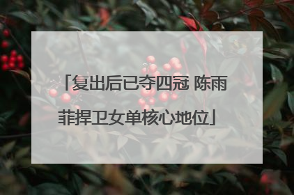 复出后已夺四冠 陈雨菲捍卫女单核心地位