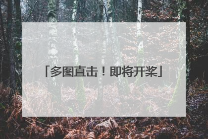 多图直击！即将开桨