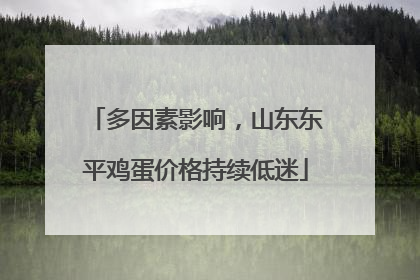 多因素影响，山东东平鸡蛋价格持续低迷