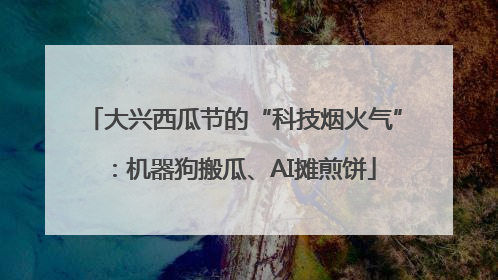 大兴西瓜节的“科技烟火气”：机器狗搬瓜、AI摊煎饼