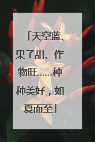 天空蓝、果子甜、作物旺……种种美好，如夏而至