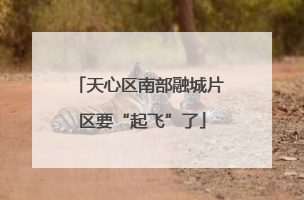 天心区南部融城片区要“起飞”了