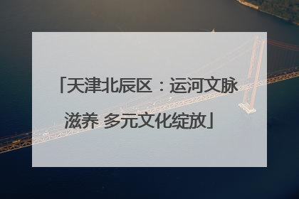 天津北辰区：运河文脉滋养 多元文化绽放