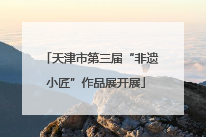天津市第三届“非遗小匠”作品展开展