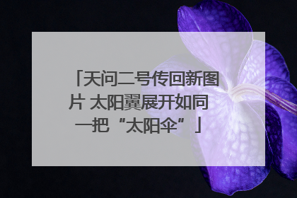 天问二号传回新图片 太阳翼展开如同一把“太阳伞”
