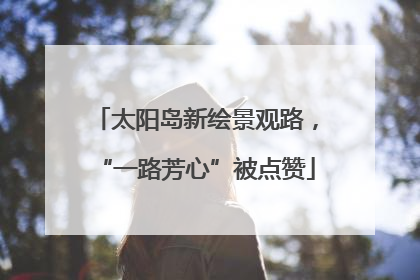 太阳岛新绘景观路，“一路芳心”被点赞
