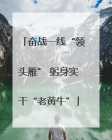 奋战一线“领头雁” 躬身实干“老黄牛”
