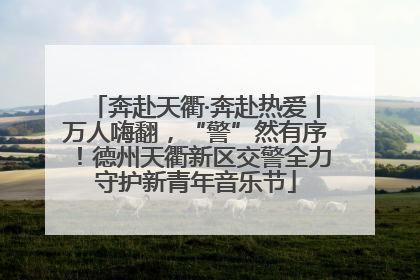 奔赴天衢·奔赴热爱丨万人嗨翻，“警”然有序！德州天衢新区交警全力守护新青年音乐节