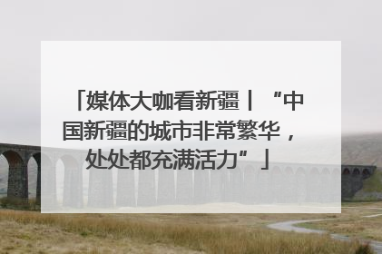 媒体大咖看新疆丨“中国新疆的城市非常繁华，处处都充满活力”