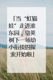 当“虹猫娃”走进淮东园，皂荚树下一场幼小衔接的探索开始啦