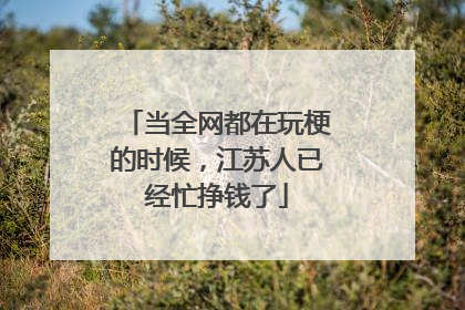 当全网都在玩梗的时候，江苏人已经忙挣钱了