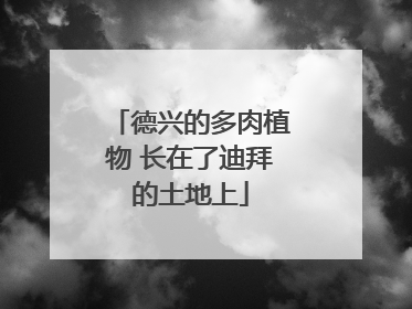 德兴的多肉植物 长在了迪拜的土地上