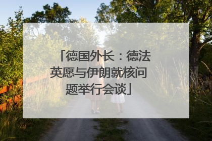 德国外长：德法英愿与伊朗就核问题举行会谈