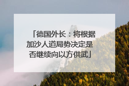 德国外长：将根据加沙人道局势决定是否继续向以方供武