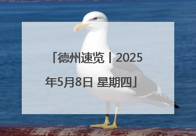 德州速览丨2025年5月8日 星期四