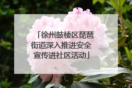 徐州鼓楼区琵琶街道深入推进安全宣传进社区活动