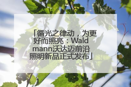 循光之律动，为更好而照亮：Waldmann沃达迈前沿照明新品正式发布
