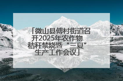 微山县傅村街道召开2025年农作物秸秆禁烧暨“三夏”生产工作会议