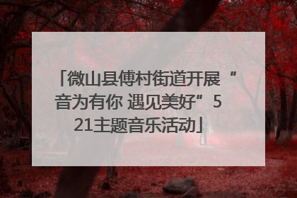 微山县傅村街道开展“音为有你 遇见美好”521主题音乐活动