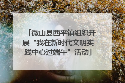 微山县西平镇组织开展“我在新时代文明实践中心过端午”活动