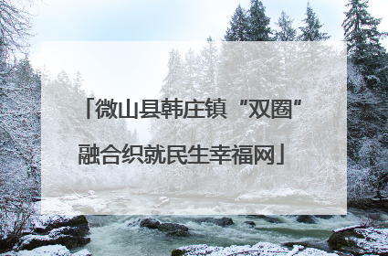 微山县韩庄镇“双圈”融合织就民生幸福网