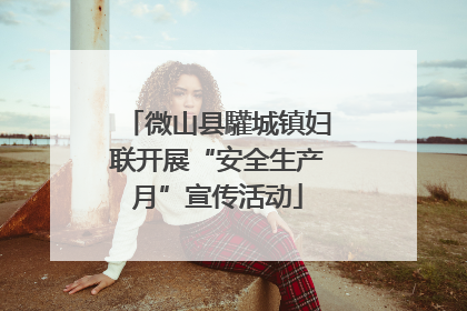 微山县驩城镇妇联开展“安全生产月”宣传活动