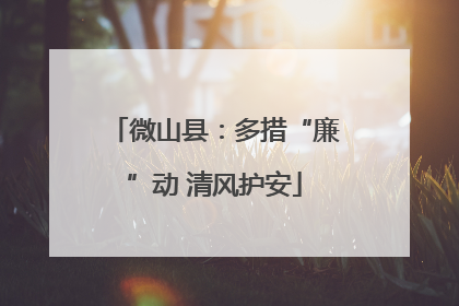 微山县：多措“廉”动 清风护安