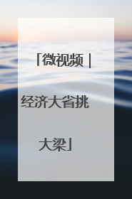微视频｜经济大省挑大梁