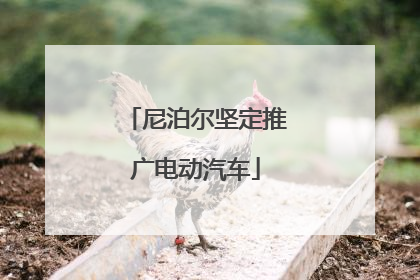 尼泊尔坚定推广电动汽车
