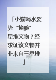 小猫喝水姿势“撞脸”三星堆文物？经求证该文物并非来自三星堆