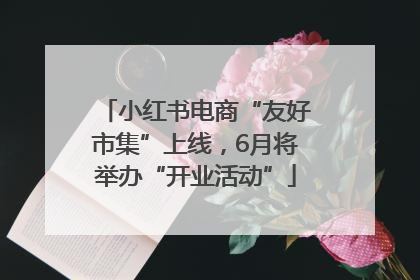 小红书电商“友好市集”上线，6月将举办“开业活动”