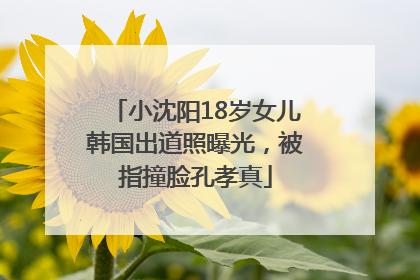 小沈阳18岁女儿韩国出道照曝光，被指撞脸孔孝真