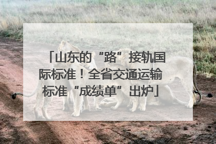 山东的“路”接轨国际标准！全省交通运输标准“成绩单”出炉